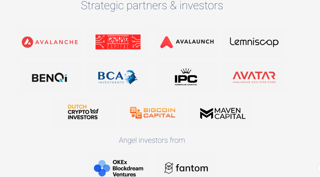 Strategic Partners and Investors